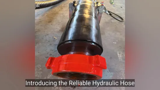 신뢰할 수 있는 표준 높은